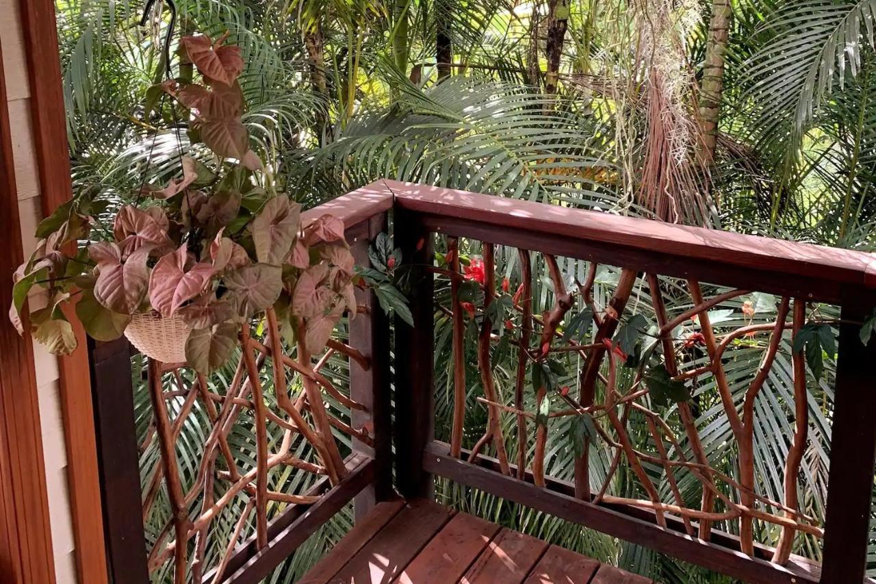Phoenix Garden Hotel Pahoa Bagian luar foto